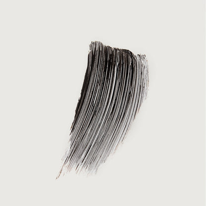 Clean Lash